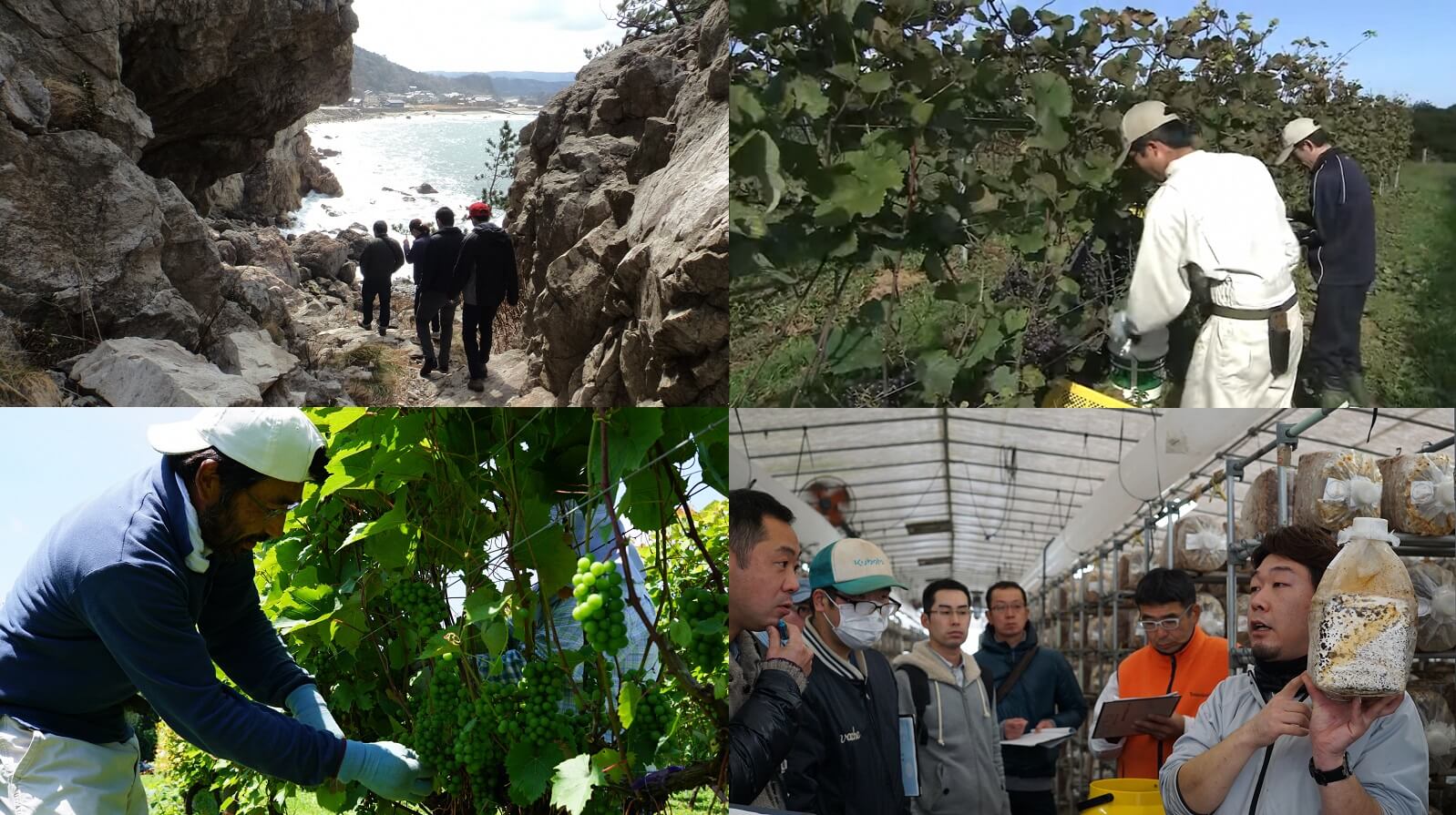 20180306-15_石川県_能登の2法人での農業体験「インターンシップ」